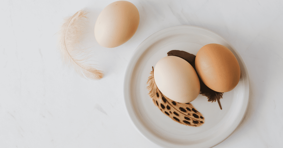 colesterolo alto dieta