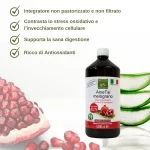 grafica illustrativa benefici aloe e melograno