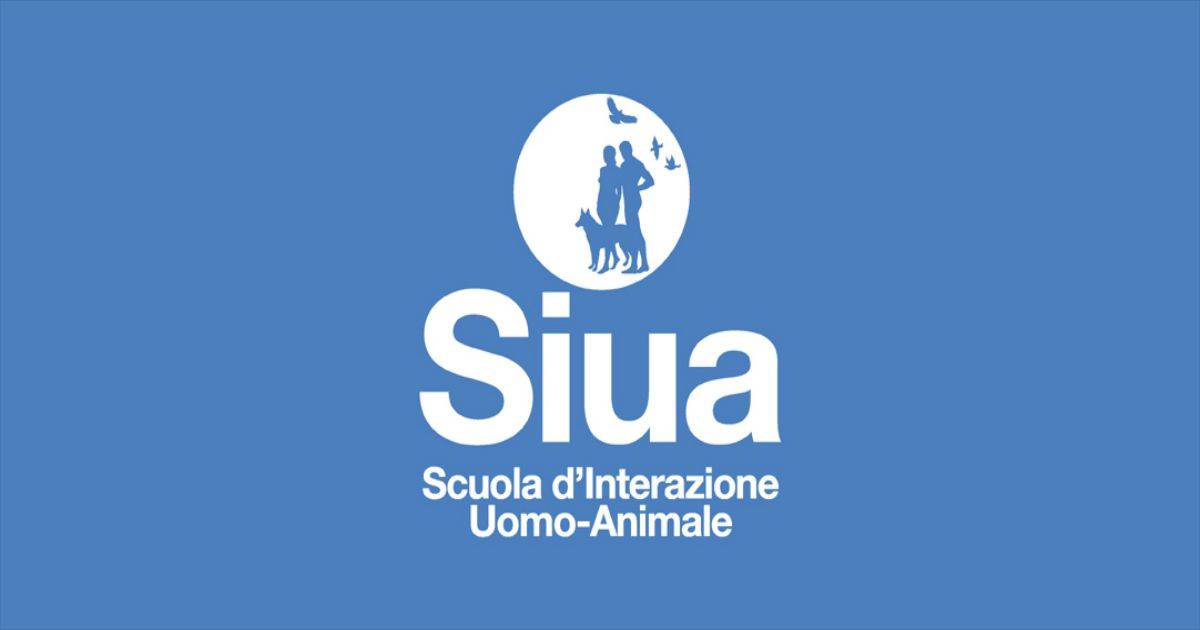 blogs posts LogoSiuaA034