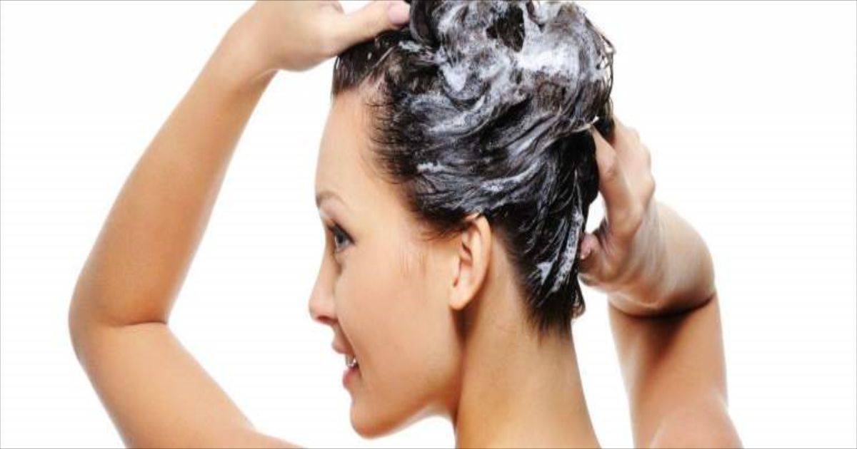 blogs posts aloe vera forfora 1