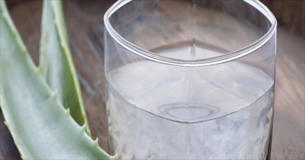 bevanda aloe vera