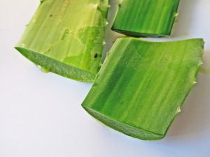 aloe vera proprietà