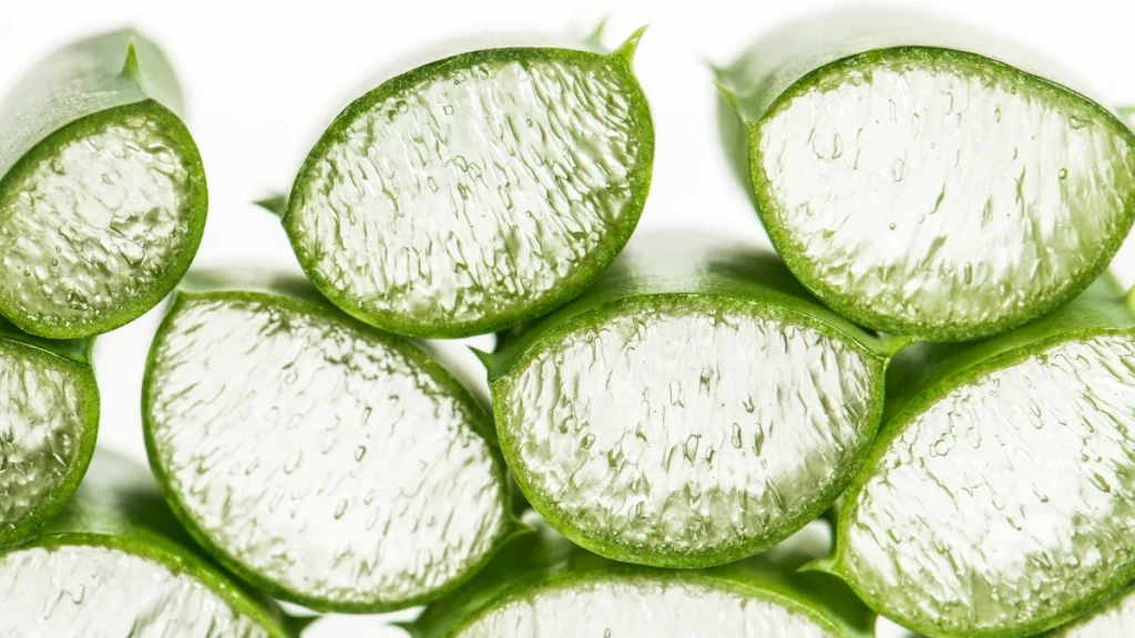 aloe e laringite