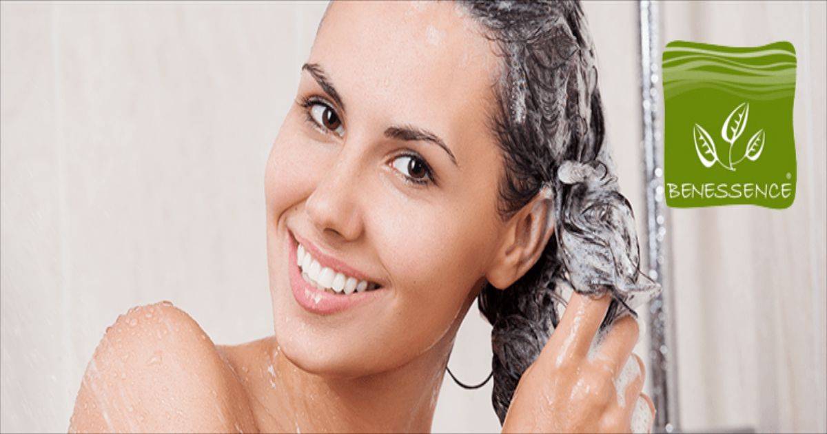 blogs posts shampoo bio benessence r