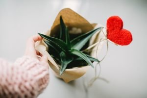 acqua detox e aloe