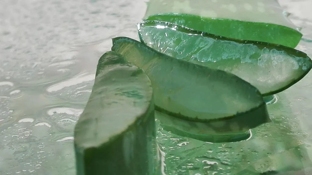 aloe e intestino
