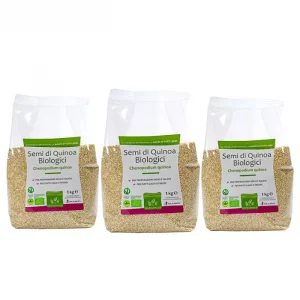 Semi quinoa bio