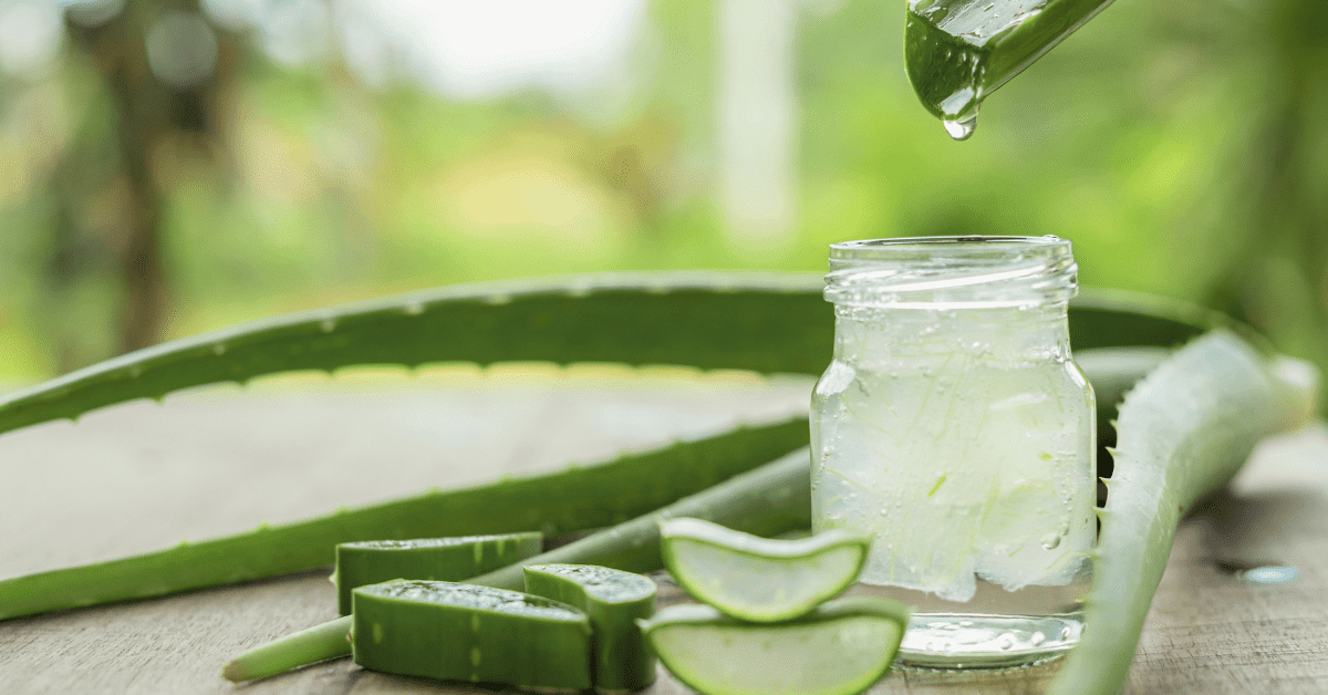 Gel di Aloe Vera