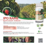 immagine grafica prodotto ipo rame