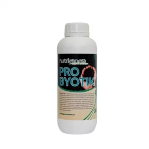 probiotics plants