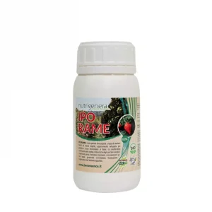 iporame