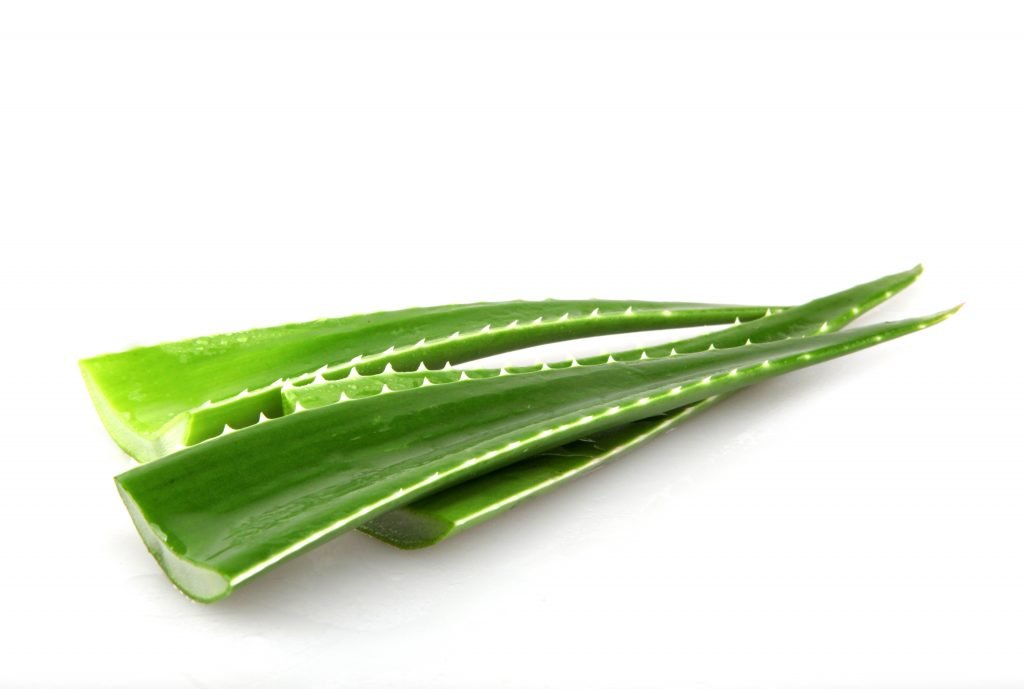 aloe vera e stitichezza