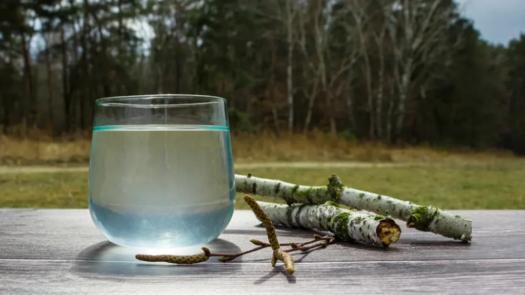 bicchiere con linfa di betulla