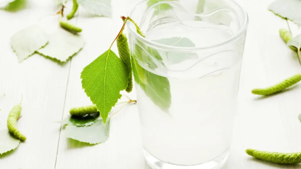 bicchiere con linfa di betulla e foglie di betulla