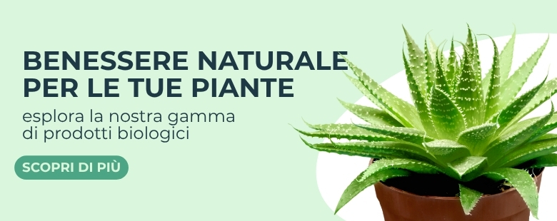 Banner mobile