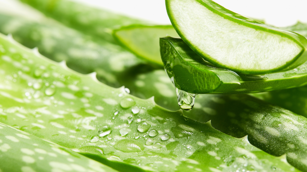 succo di aloe