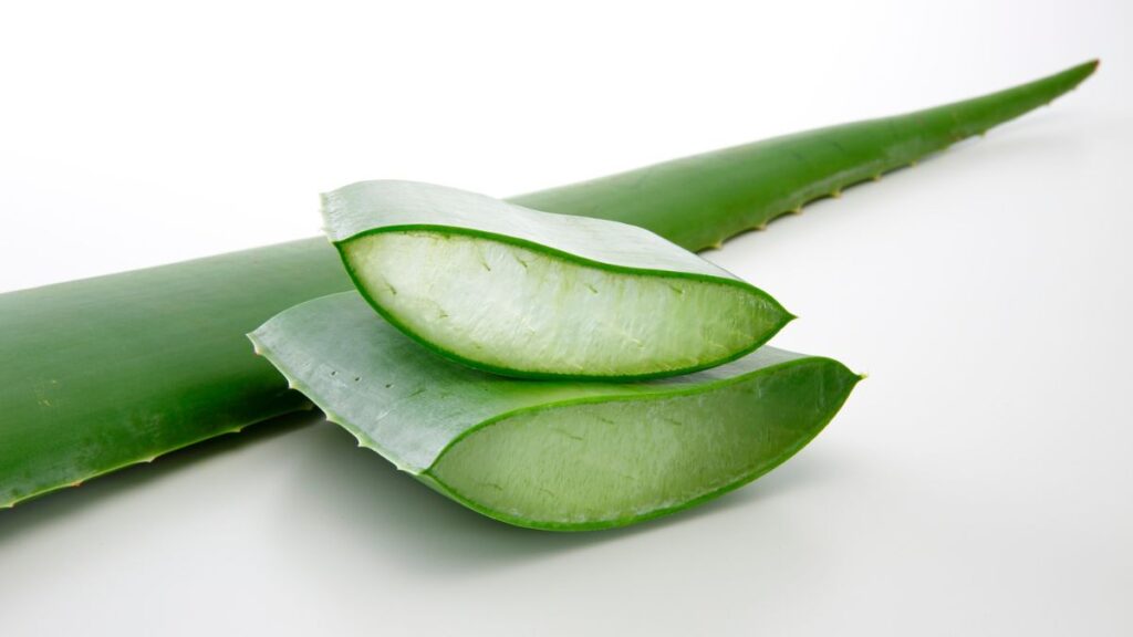 aloe vera per sportivi 