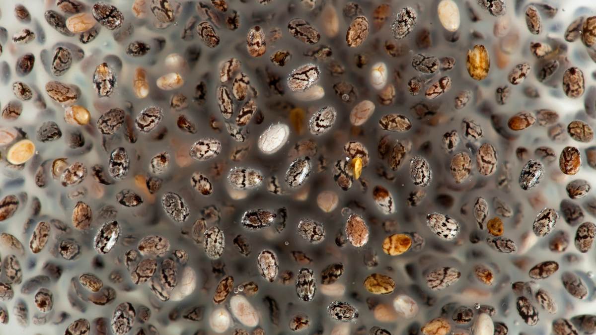 chia gel per dimagrire