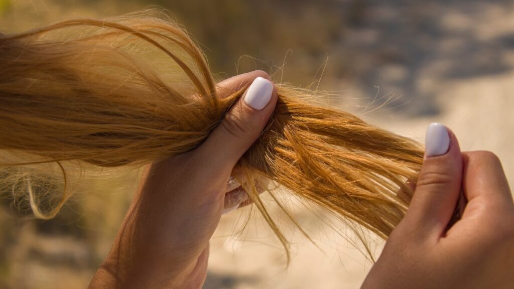 capelli secchi rimedi naturali