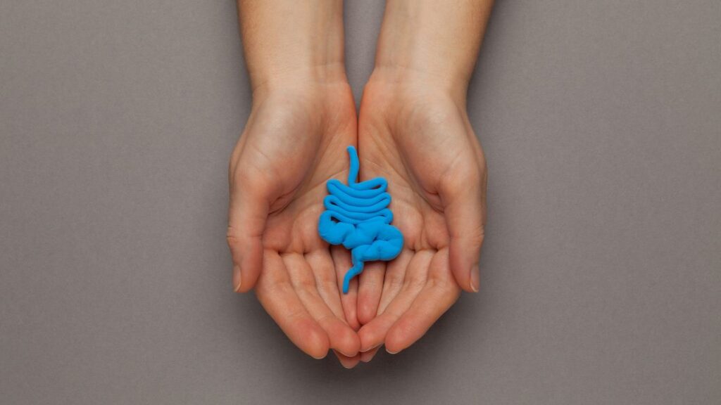 cosa mangiare con l'intestino irritabile