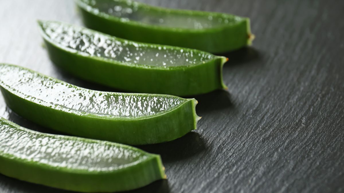proprietà aloe vera