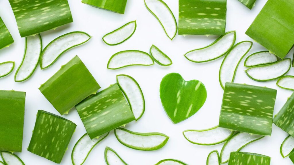 aloe e capelli