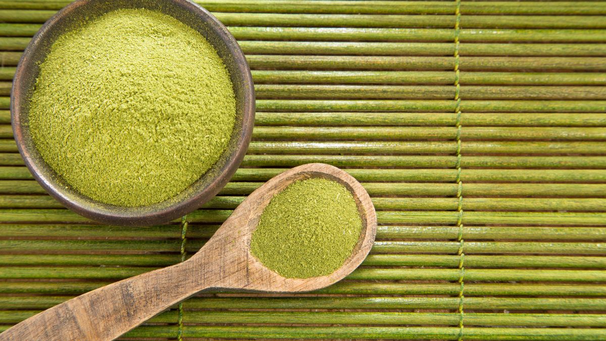 moringa biologica