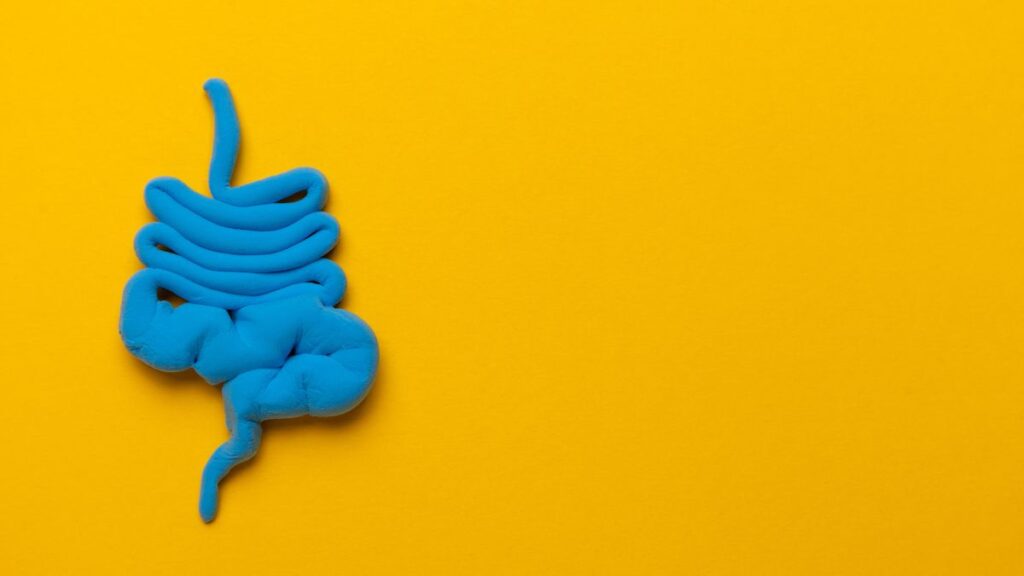 intestino irritabile